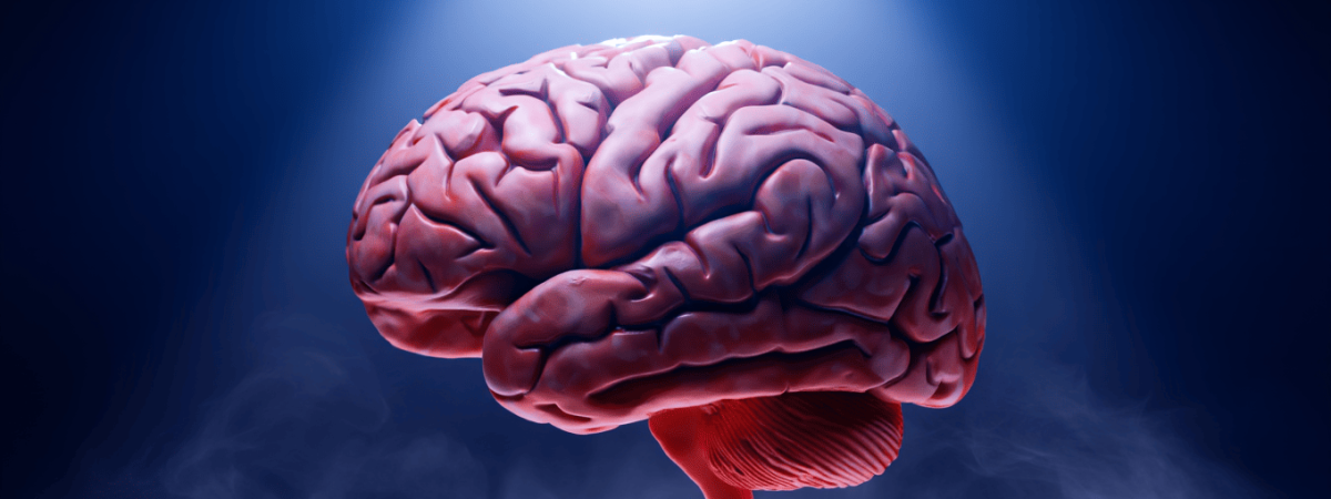 16031481-722b-4722-adf6-d6dff3dc594d