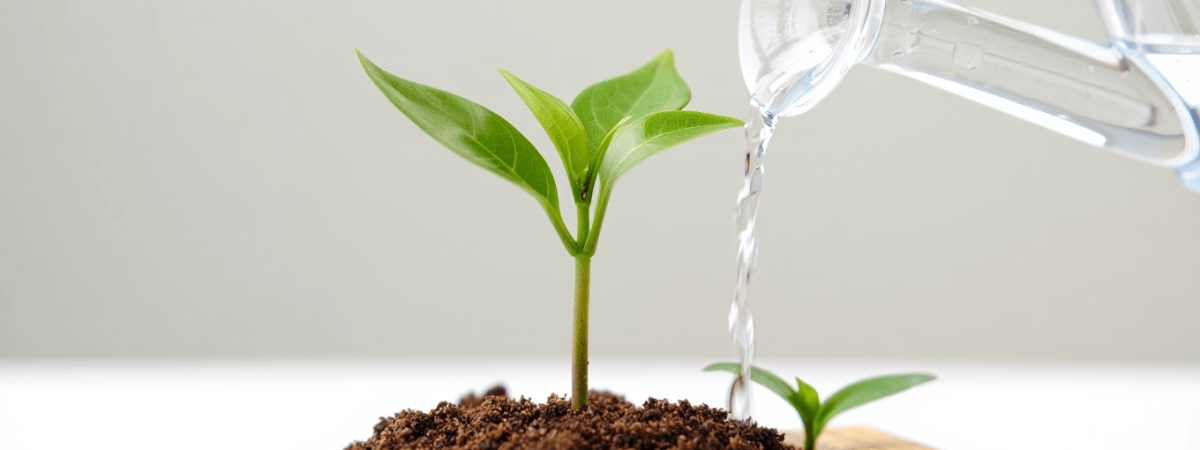 bbb8be14-8108-4810-bb95-7bb9ce3097e3