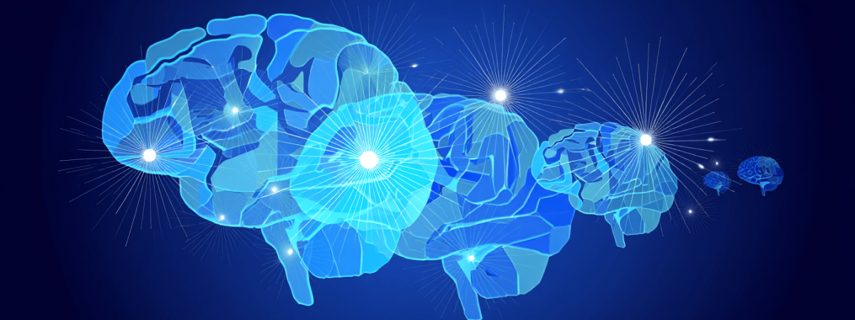 bcd4ddd4-3ce6-43ce-9ae5-c5ae0671fffd